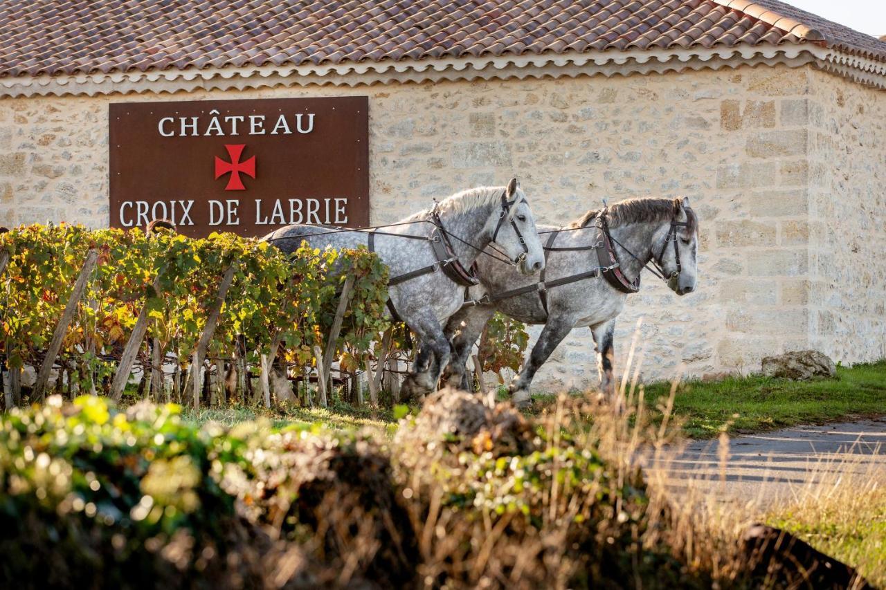 Chateau Croix De Labrie Saint-Émilion Exteriér fotografie